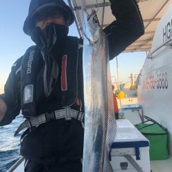 岡田釣船 八英丸 釣果