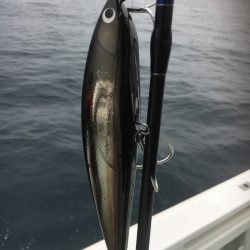 海楽隊 華栞丸 釣果