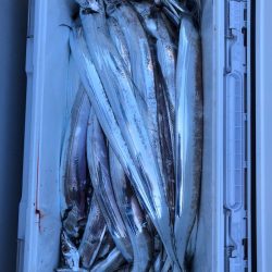 フィッシング キッタカ 釣果