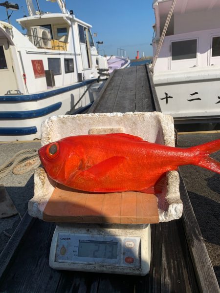 晃山丸 釣果