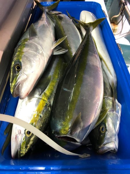 第二八坂丸 釣果