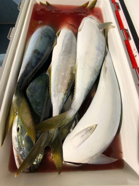 第二八坂丸 釣果