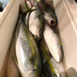 第二八坂丸 釣果