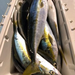 第二八坂丸 釣果