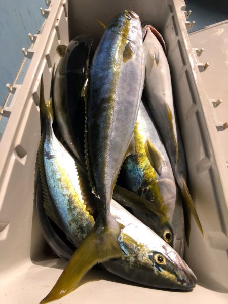 第二八坂丸 釣果