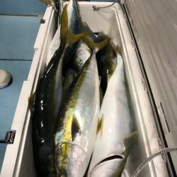 第二八坂丸 釣果