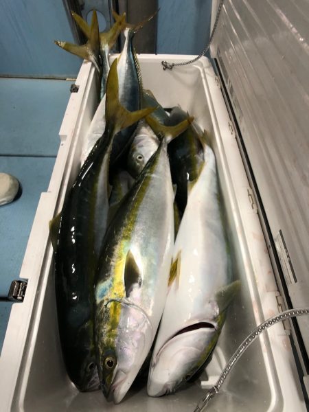 第二八坂丸 釣果