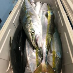 第二八坂丸 釣果