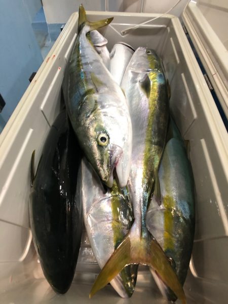 第二八坂丸 釣果