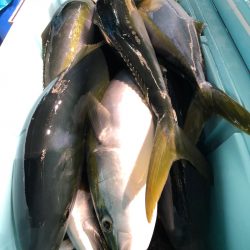 第二八坂丸 釣果