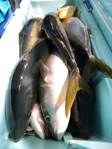 第二八坂丸 釣果