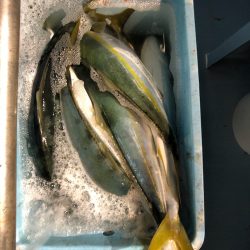 第二八坂丸 釣果