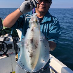 「LaGooN」蒼陽丸 日和号 釣果