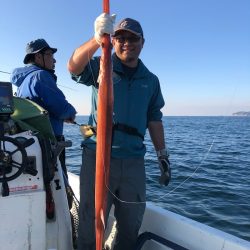 「LaGooN」蒼陽丸 日和号 釣果