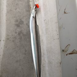 末広丸(熊本) 釣果