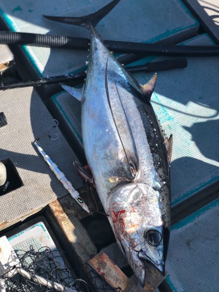 ＴＡＲＯＭＡＲＵ 釣果