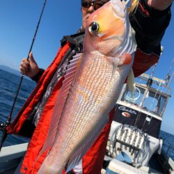 あみや渡船 JIGBOY 釣果