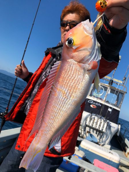 あみや渡船 JIGBOY 釣果