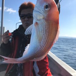 あみや渡船 JIGBOY 釣果