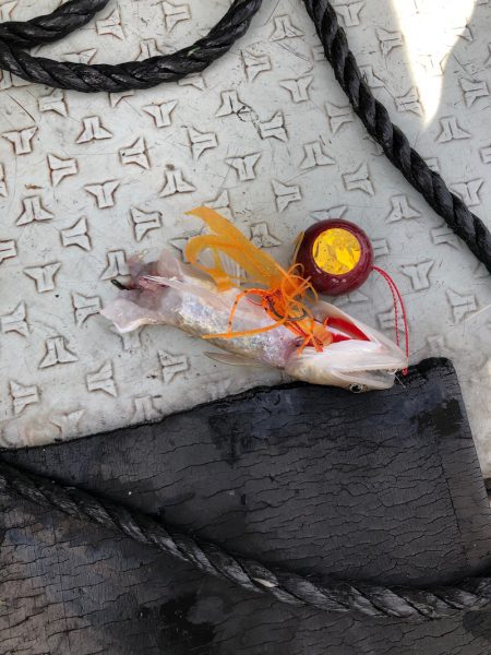 あみや渡船 JIGBOY 釣果