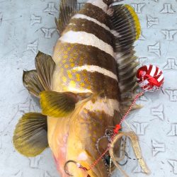 あみや渡船 JIGBOY 釣果