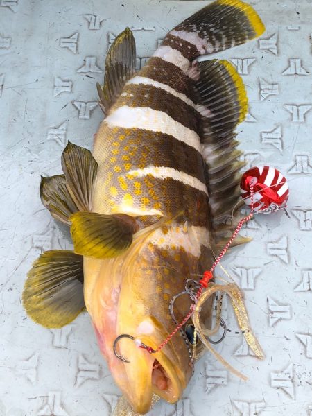 あみや渡船 JIGBOY 釣果