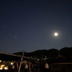 「LaGooN」蒼陽丸 日和号 釣果