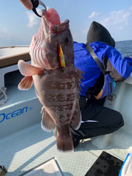 さくら丸 釣果