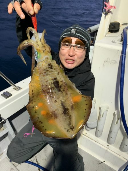エヌスタイル 釣果