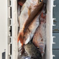 フィッシング キッタカ 釣果