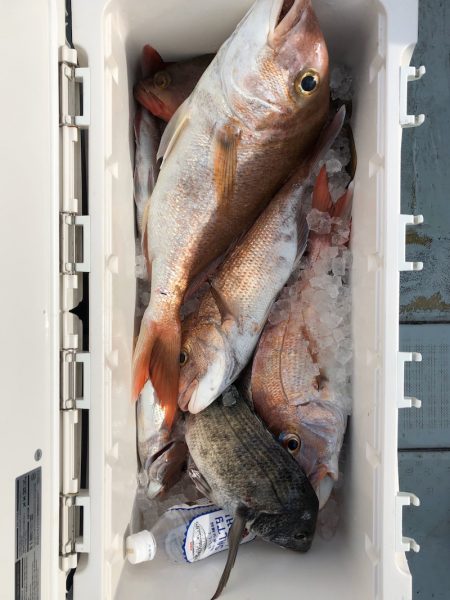 フィッシング キッタカ 釣果