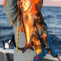 ＴＡＲＯＭＡＲＵ 釣果