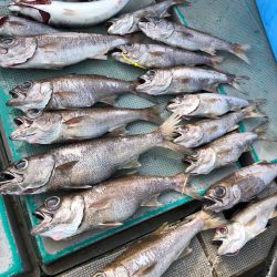 ＴＡＲＯＭＡＲＵ 釣果