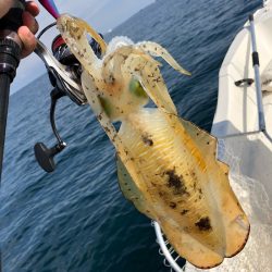 「LaGooN」蒼陽丸 日和号 釣果