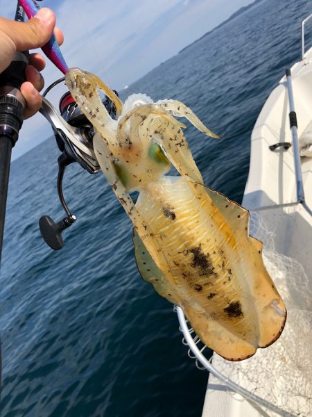 「LaGooN」蒼陽丸 日和号 釣果