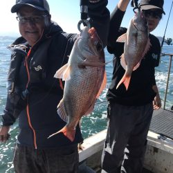 遊漁船メテオ 釣果