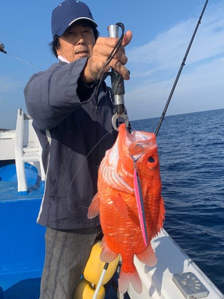 釣鯛洋 釣果