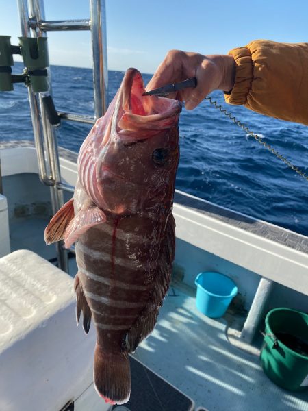 Monster Rush! 釣果