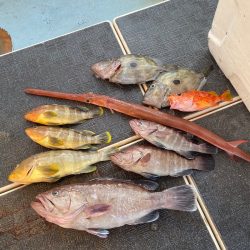 Monster Rush! 釣果