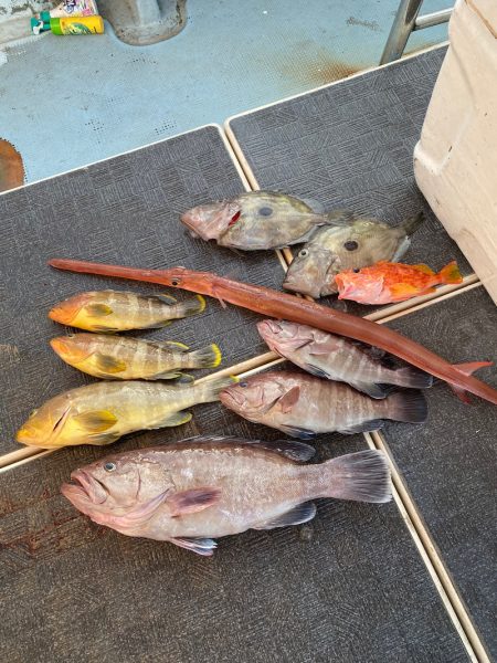 Monster Rush! 釣果