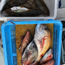 フィッシング　キッタカ 釣果