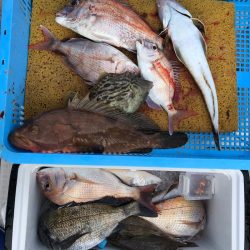 フィッシング　キッタカ 釣果