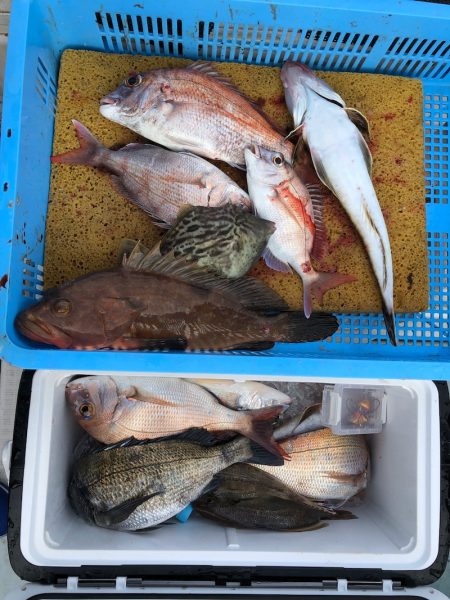 フィッシング　キッタカ 釣果