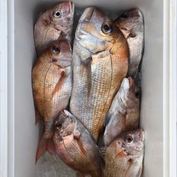 フィッシング　キッタカ 釣果