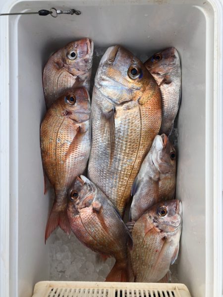 フィッシング　キッタカ 釣果