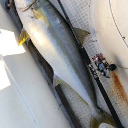 「LaGooN」蒼陽丸 日和号 釣果