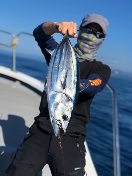 ＴＡＲＯＭＡＲＵ 釣果