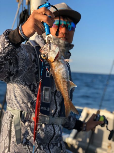 ＴＡＲＯＭＡＲＵ 釣果