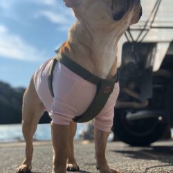 ＴＡＲＯＭＡＲＵ 釣果