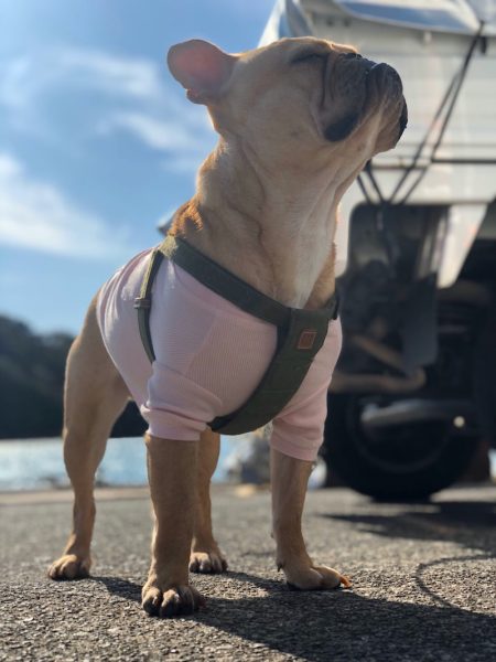 ＴＡＲＯＭＡＲＵ 釣果